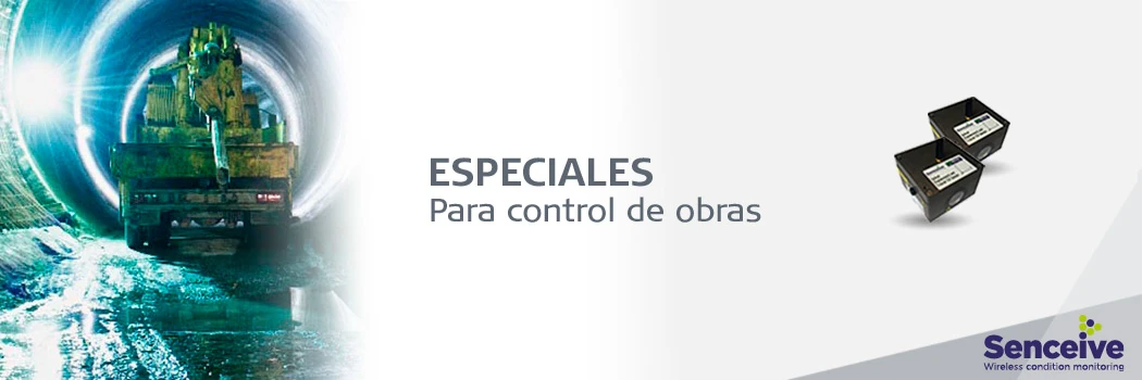 Auscultación obras especiales