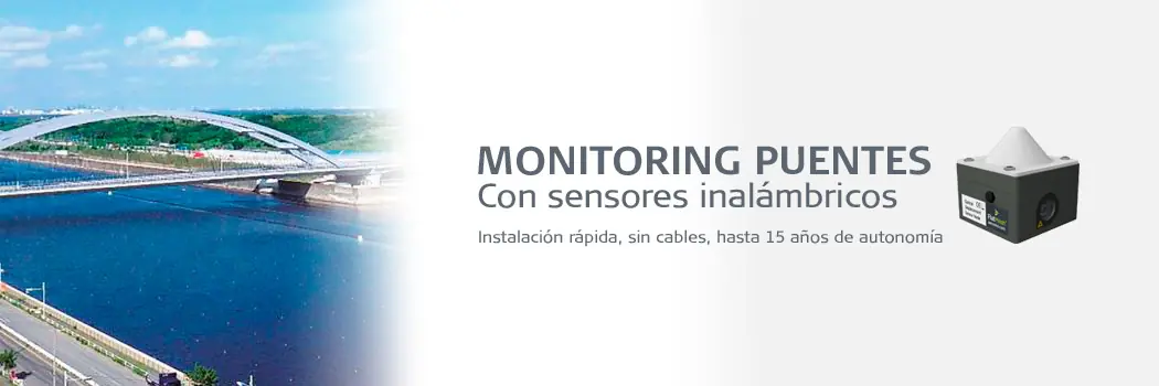 Monitoring Puentes
